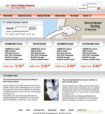 網絡建設與技術服務 以天津億速科技為例探討ebdoor平臺的價值